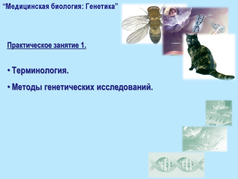 Практическое занятие 1.  Терминология.  Методы генетических исследований.  “Медицинская биология: Генетика”